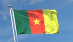 drapeau Cameroun