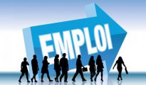 Emploi-Minefop