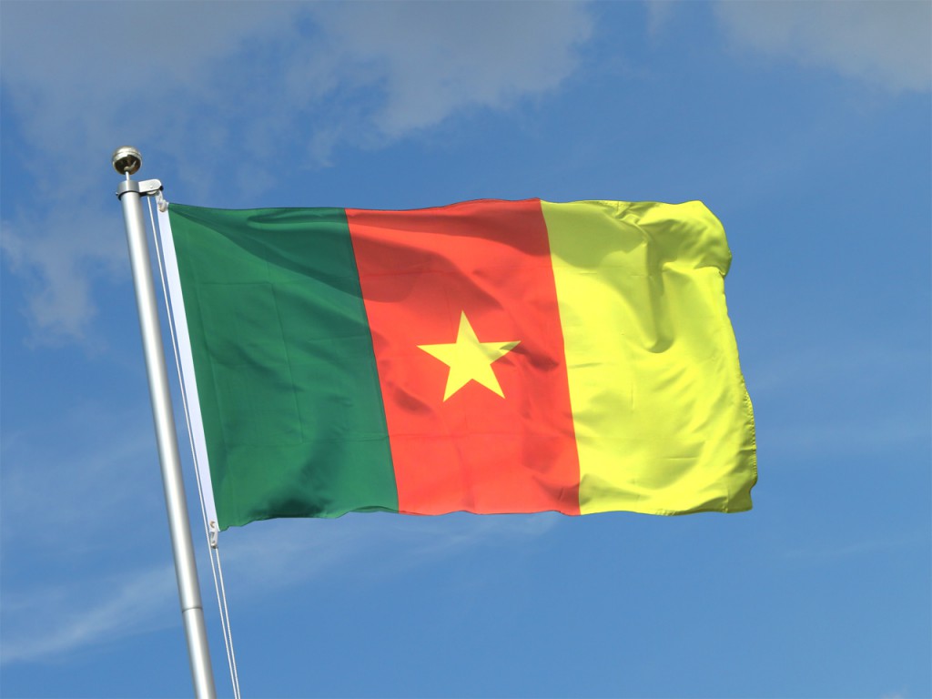 drapeau Cameroun