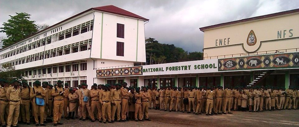 ENEF Ecole Nationale des Eaux et Forêts de Mbalmayo