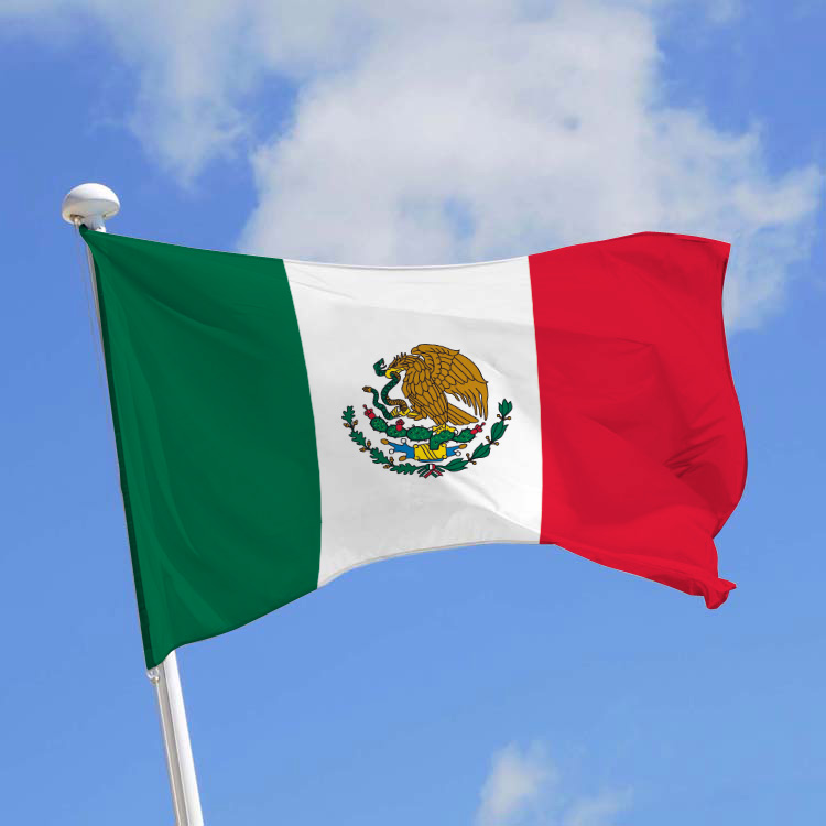 Special Programs of the 2016 Mexican Government Scholarship