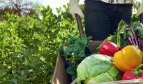 agriculture