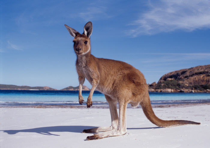 Australia awards scholarship. Applications are now open