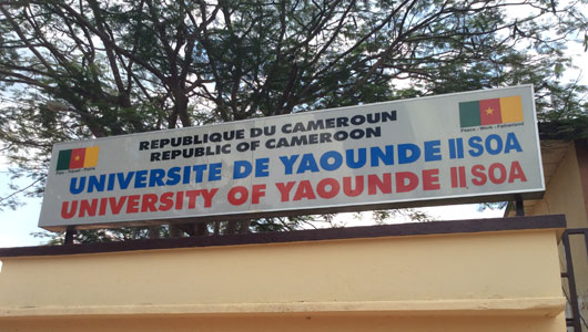 Les offres de formations en Masters Professionnels de l’Université de Yaoundé II.