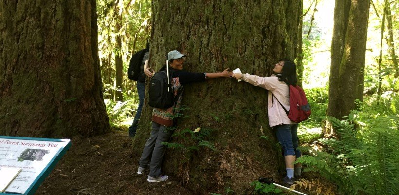 Apply for 2019 World Forest Institute International Fellowship