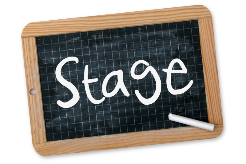 Stages Pratiques de vacances au Ministère de l’Enseignement Supérieur