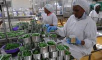 Agro Industrie